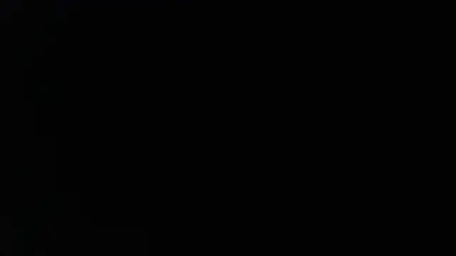 Snapshot of _______the chatting on 21, 4, 2026 the online show from 21, 4, 2026