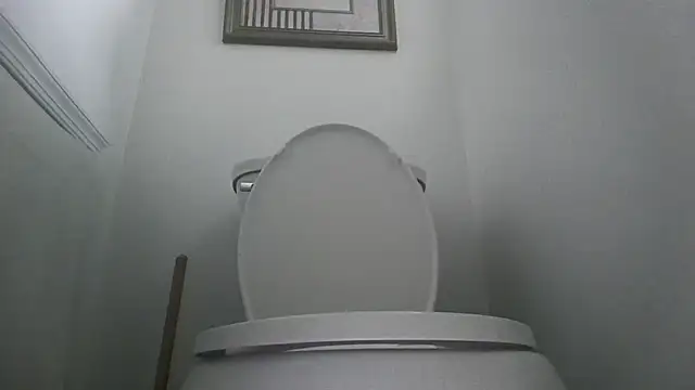 you like my chocolate101 online show from 11, 10, 2025