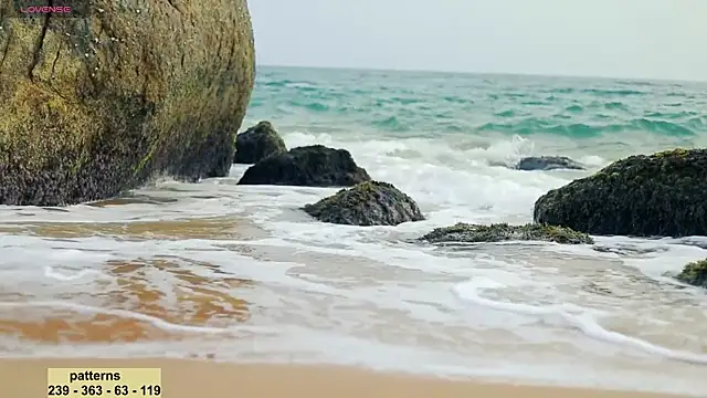  sex in paradise  online show from 20, 1, 2025