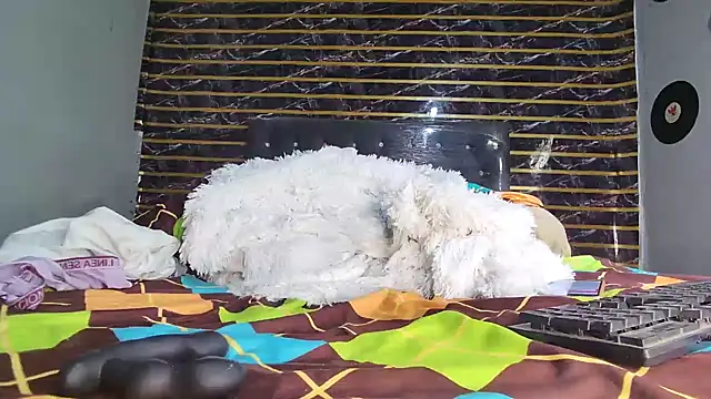 Snapshot of jeffblack2 chatting on 1, 4, 2026 jeffblack2 online show from 1, 4, 2026