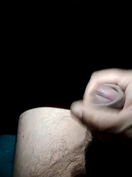 Edipaca online show from 12, 11, 2025