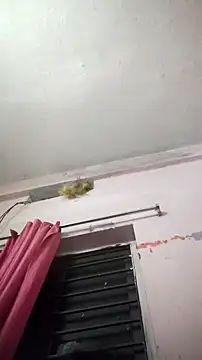 sana14 online show from 8, 4, 2026