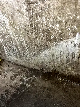 Snapshot of tamil000000 chatting on 12, 1, 2026 tamil000000 online show from 12, 1, 2026