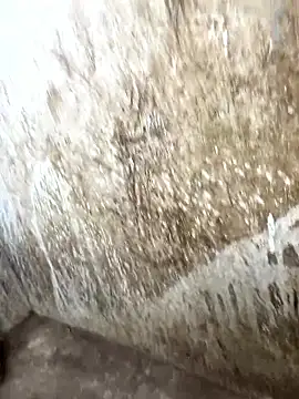 Snapshot of tamil000000 chatting on 17, 1, 2026 tamil000000 online show from 17, 1, 2026