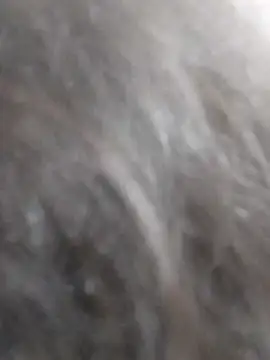 kobita Mohali online show from 14, 9, 2025