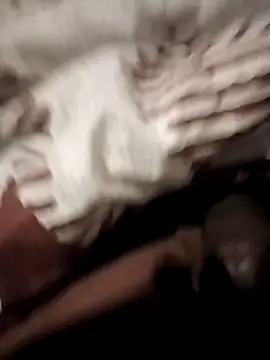 Lexwelll online show from 8, 1, 2026