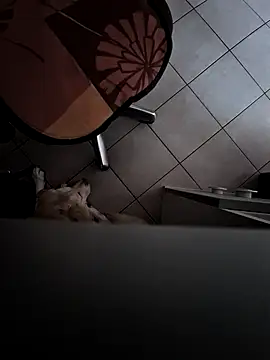 Snapshot of HardWolf2024 chatting on 9, 12, 2024 HardWolf2024 online show from 9, 12, 2024