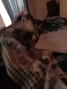 MrTamburine22 online show from 27, 2, 2026