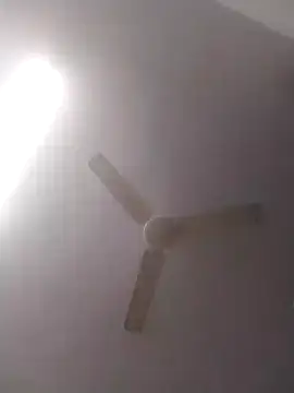 jenilmax online show from 16, 12, 2024