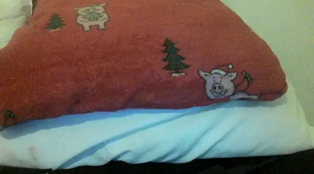 bunnyamy online show from 5, 12, 2024