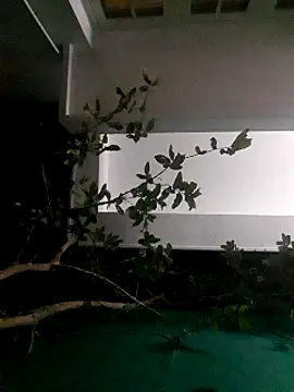 Snapshot of Jhon837486 chatting on 29, 12, 2024 Jhon837486 online show from 29, 12, 2024