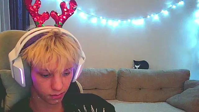 Ostin meow online show from 10, 12, 2024