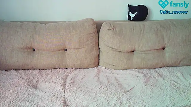 Ostin meow online show from 22, 2, 2025