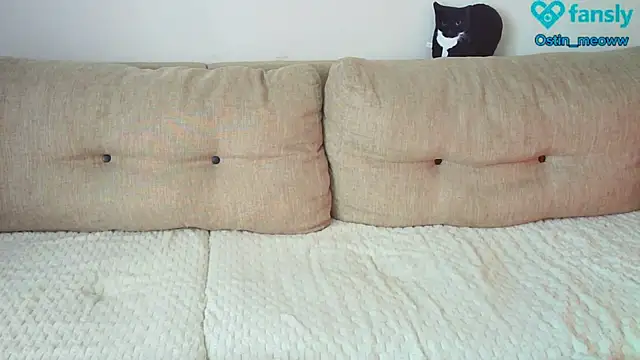 Ostin meow online show from 25, 2, 2025