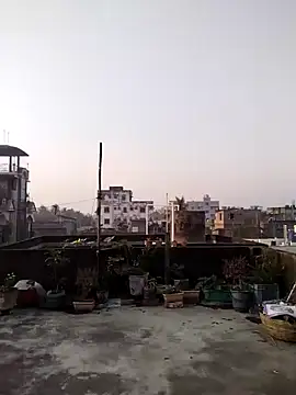 Jeetshine 1234 online show from 12, 12, 2024