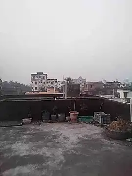 Jeetshine 1234 online show from 23, 12, 2025