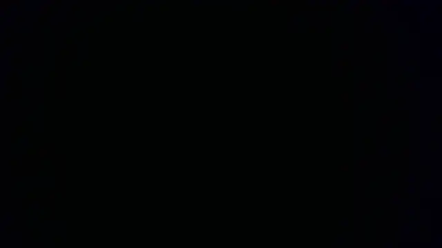Snapshot of W_N_G_S chatting on 15, 10, 2025 W N G S online show from 15, 10, 2025