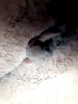 Snapshot of lemon69Reo chatting on 26, 2, 2025 lemon69Reo online show from 26, 2, 2025