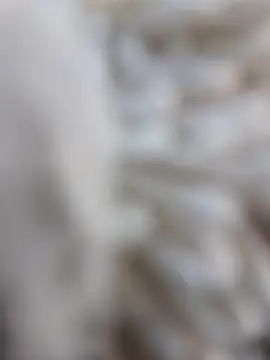 lemon69Reo online show from 15, 2, 2026