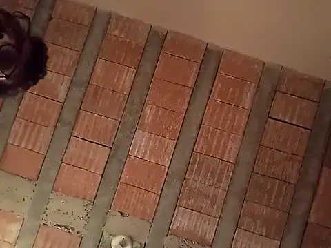 Snapshot of jtf4055 chatting on 13, 9, 2025 jtf4055 online show from 13, 9, 2025