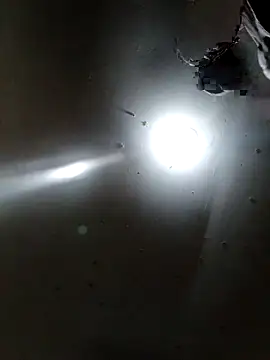 Snapshot of Innsaciable chatting on 11, 4, 2026 Innsaciable online show from 11, 4, 2026