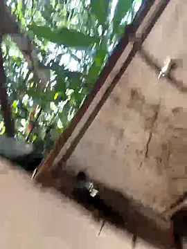 Morguisssz online show from 18, 12, 2025