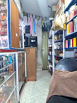 nidia2026 online show from 6, 11, 2025