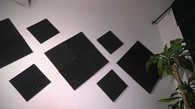 Ambeer Rousess online show from 10, 4, 2026