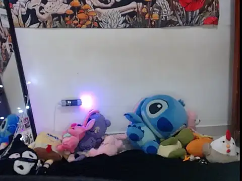 hachi kitty online show from 24, 5, 2026