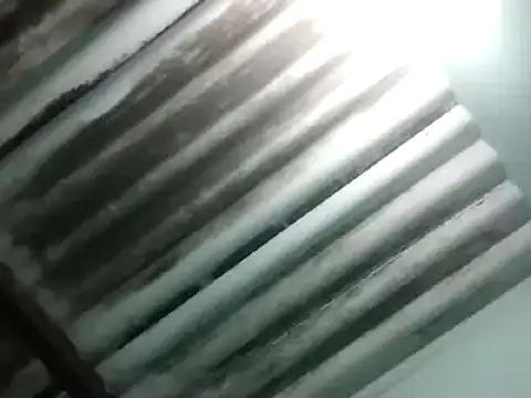 maximo vega newv online show from 6, 1, 2025