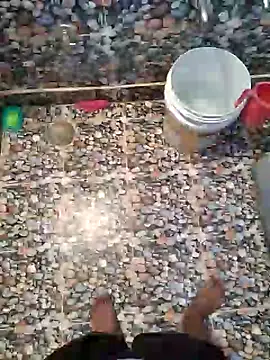 Snapshot of raamcxy chatting on 25, 12, 2024 raamcxy online show from 25, 12, 2024