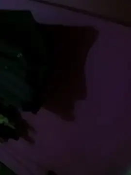 Snapshot of Mastar212 chatting on 2, 12, 2025 Mastar212 online show from 2, 12, 2025