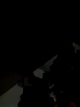 Snapshot of Kitjai200301 chatting on 1, 11, 2025 Kitjai200301 online show from 1, 11, 2025