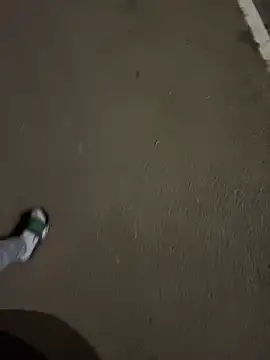 Lahcene online show from 20, 11, 2025