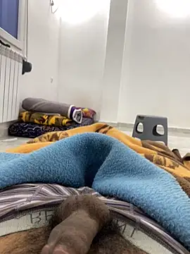 Lahcene online show from 19, 12, 2025