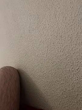 Snapshot of Loco42- chatting on 10, 12, 2024 Loco42- online show from 10, 12, 2024