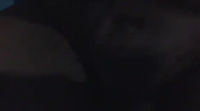 Penis58 online show from 16, 12, 2024