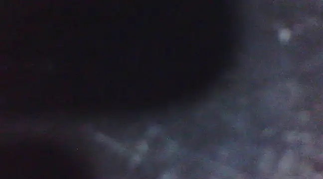 Penis58 online show from 10, 3, 2025