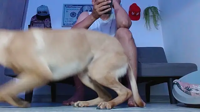 boss of cash online show from 2, 4, 2026