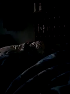 narcismarcu11 online show from 14, 12, 2025