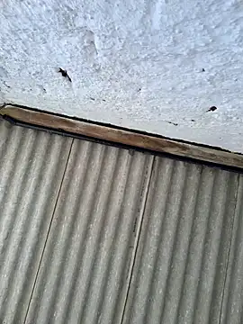 alexjs84 online show from 22, 11, 2025