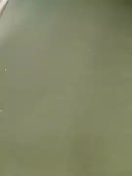 Miss balloonsmila online show from 22, 1, 2025