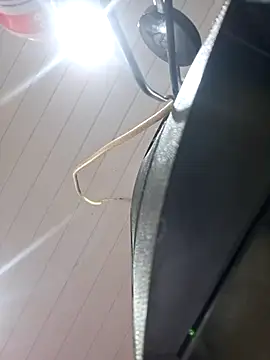 ppatriciarabello online show from 17, 11, 2025