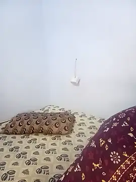 telugu indhu 0001 online show from 14, 2, 2025