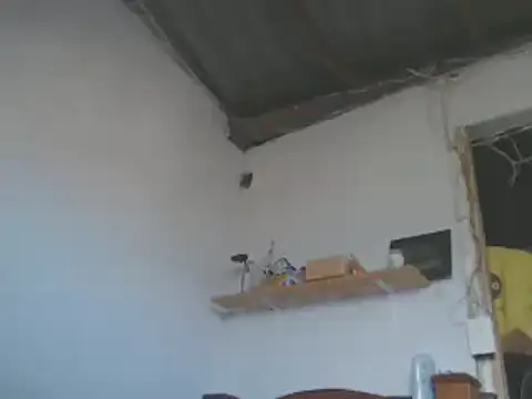 gatoalex89 online show from 15, 1, 2025