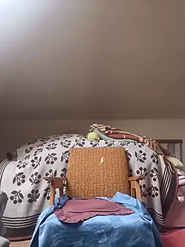 Snapshot of danitomii chatting on 31, 3, 2026 danitomii online show from 31, 3, 2026