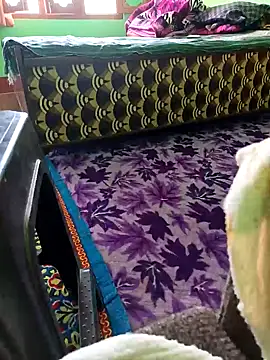 Snapshot of bigtoool12 chatting on 2, 10, 2025 bigtoool12 online show from 2, 10, 2025