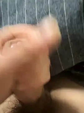 toto3119 online show from 18, 2, 2025