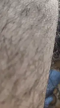 Snapshot of niyack69 chatting on 31, 1, 2026 niyack69 online show from 31, 1, 2026