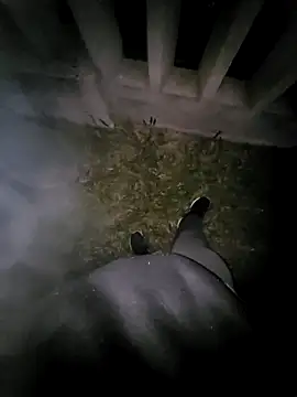 tesaodaweb online show from 20, 4, 2026